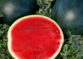 Hybrid Watermelon