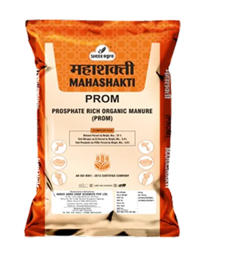 MAHASHAKTI PROM