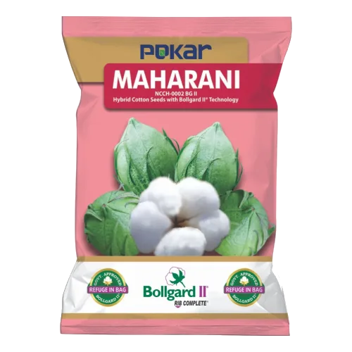 Research Hybrid Cotton