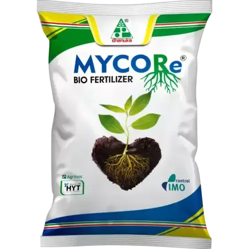 Mycore