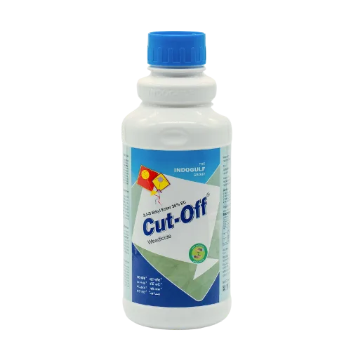 Cut Off - 38