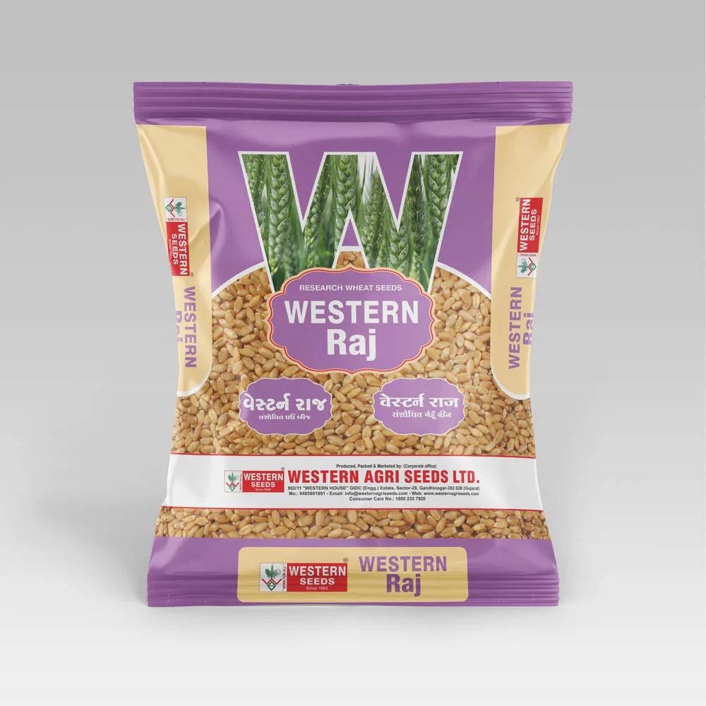 Western Raj ( Wheat )