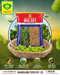 MG 351