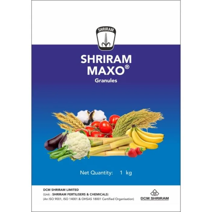 Shriram Maxo