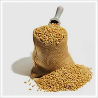 Broiler Feed