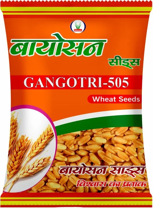 GANGOTRI – 505
