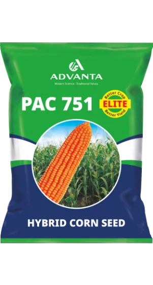PAC 751 Elite