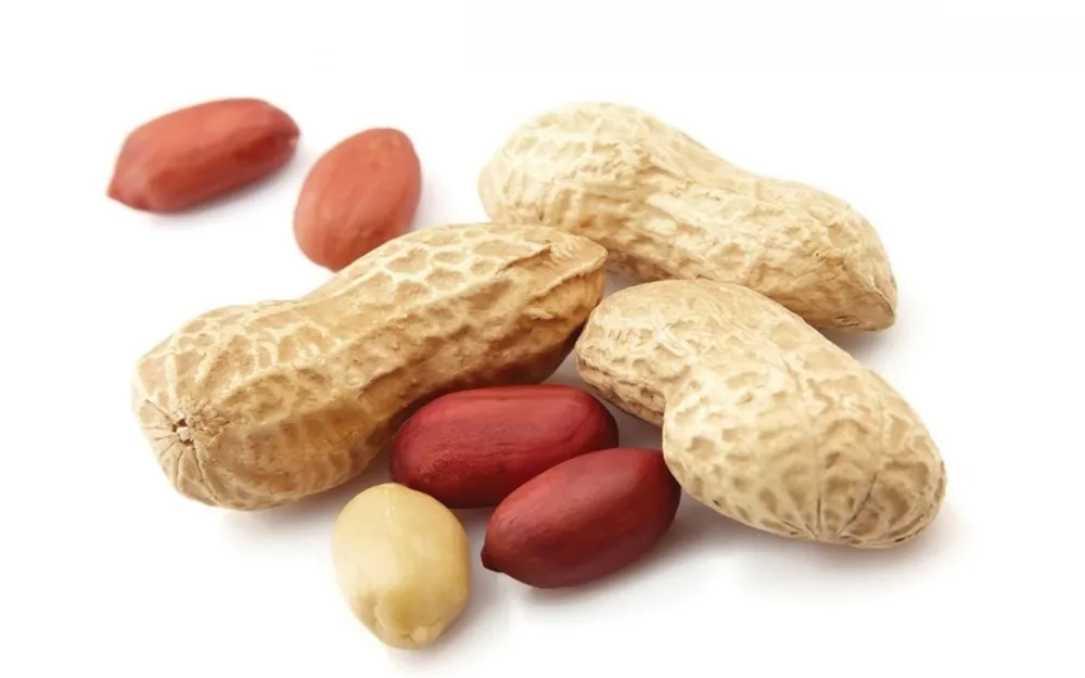 Ground Nut-10