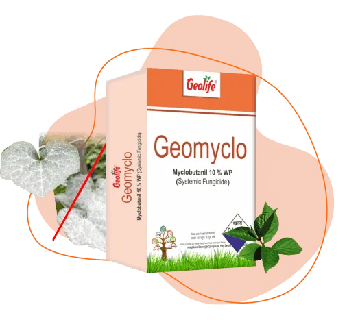 Geomyclo