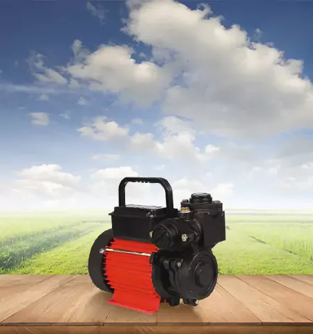 Self Priming Pumps