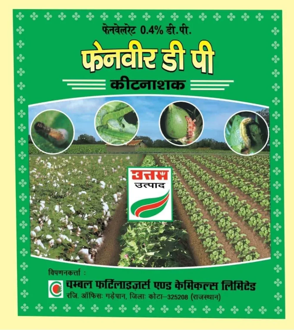 FENVEER DP (INSECTICIDE)
