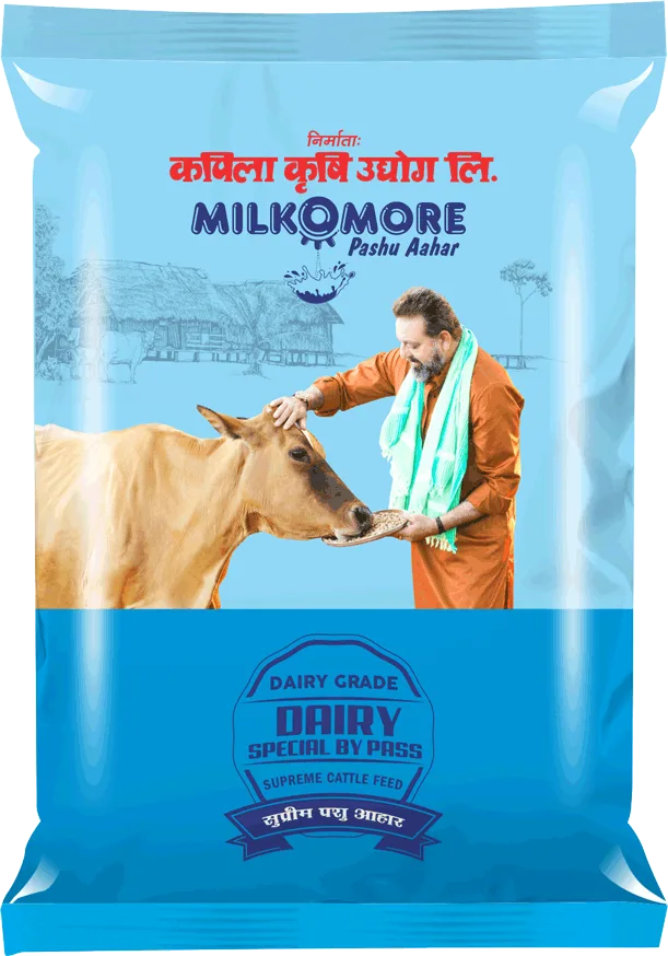 Dairy Special Cattle Feed