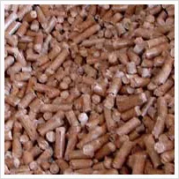 Cattle Feed