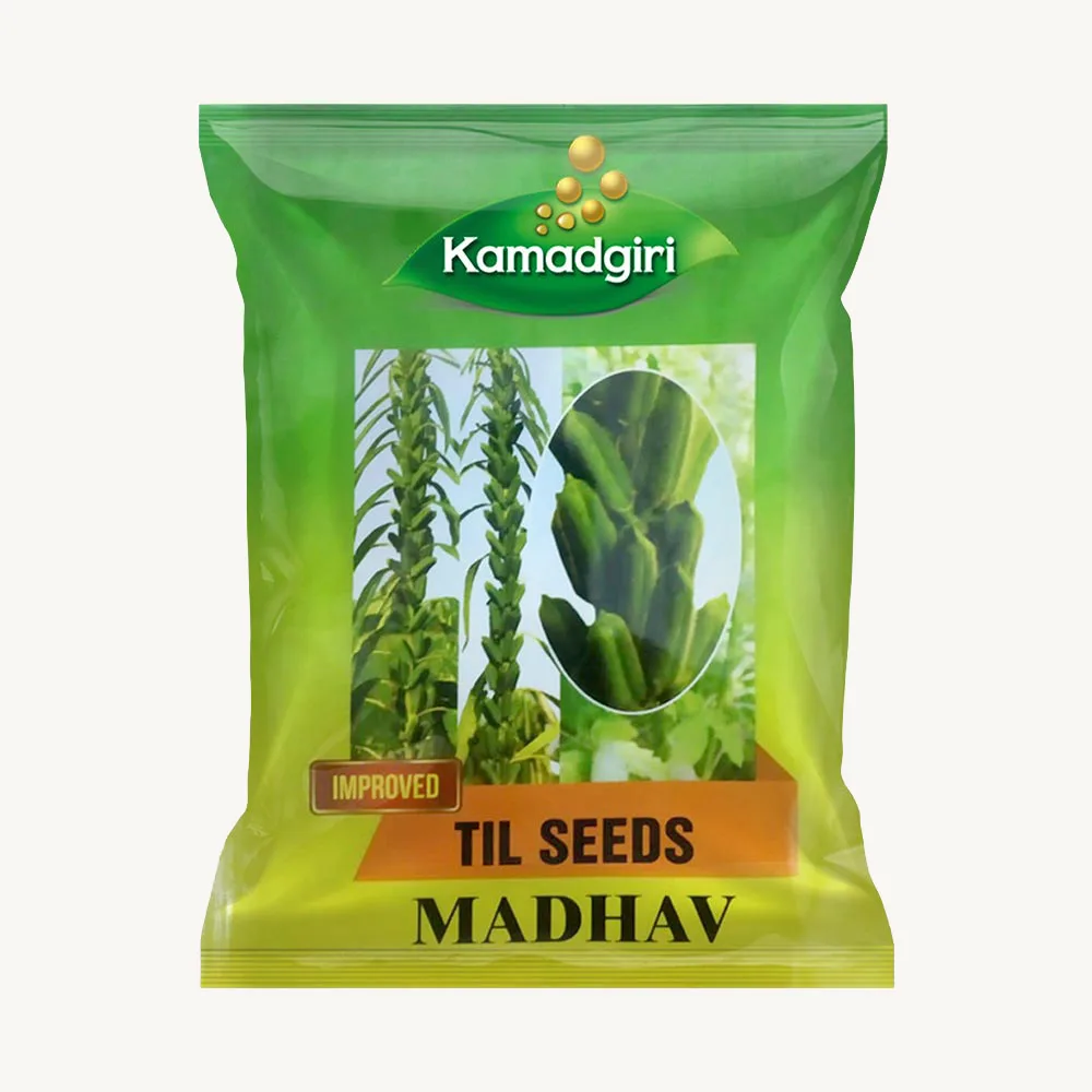 Til Madhav