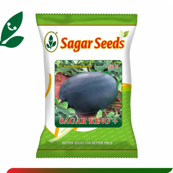 Sagar King +
