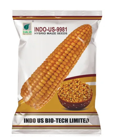 IU-9981 MAIZE