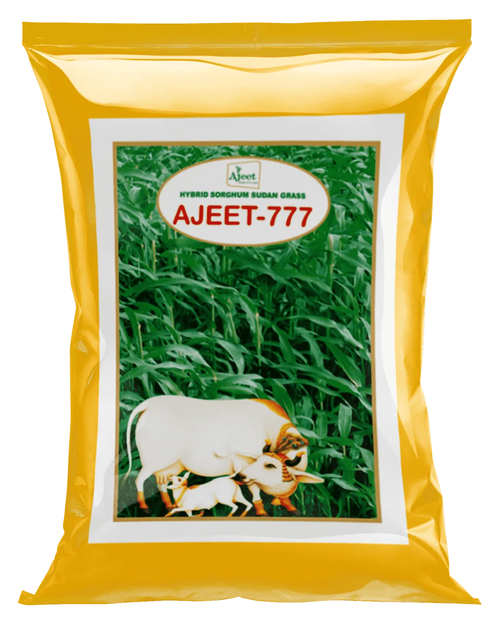 Ajeet-777