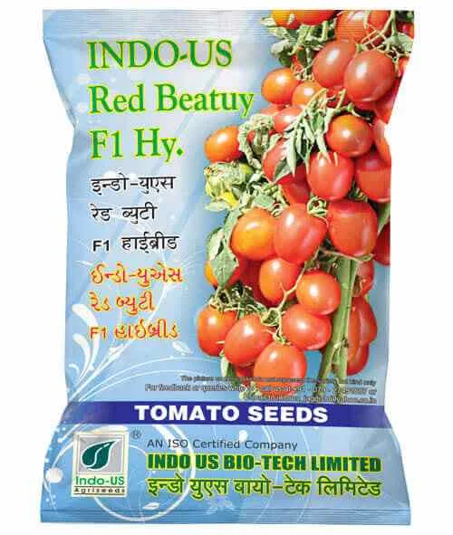 INDO-US-9999 F1 HY TOMATO