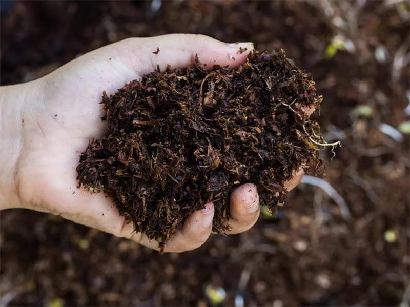 Organic Compost