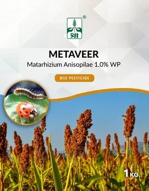 Metaveer