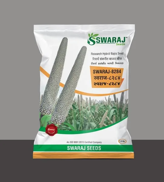 SWARAJ-8284 (Bajra Seeds)