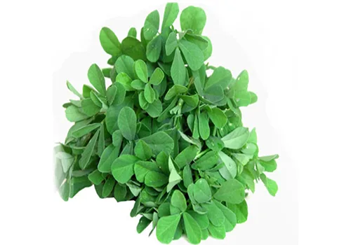 Methi seeds