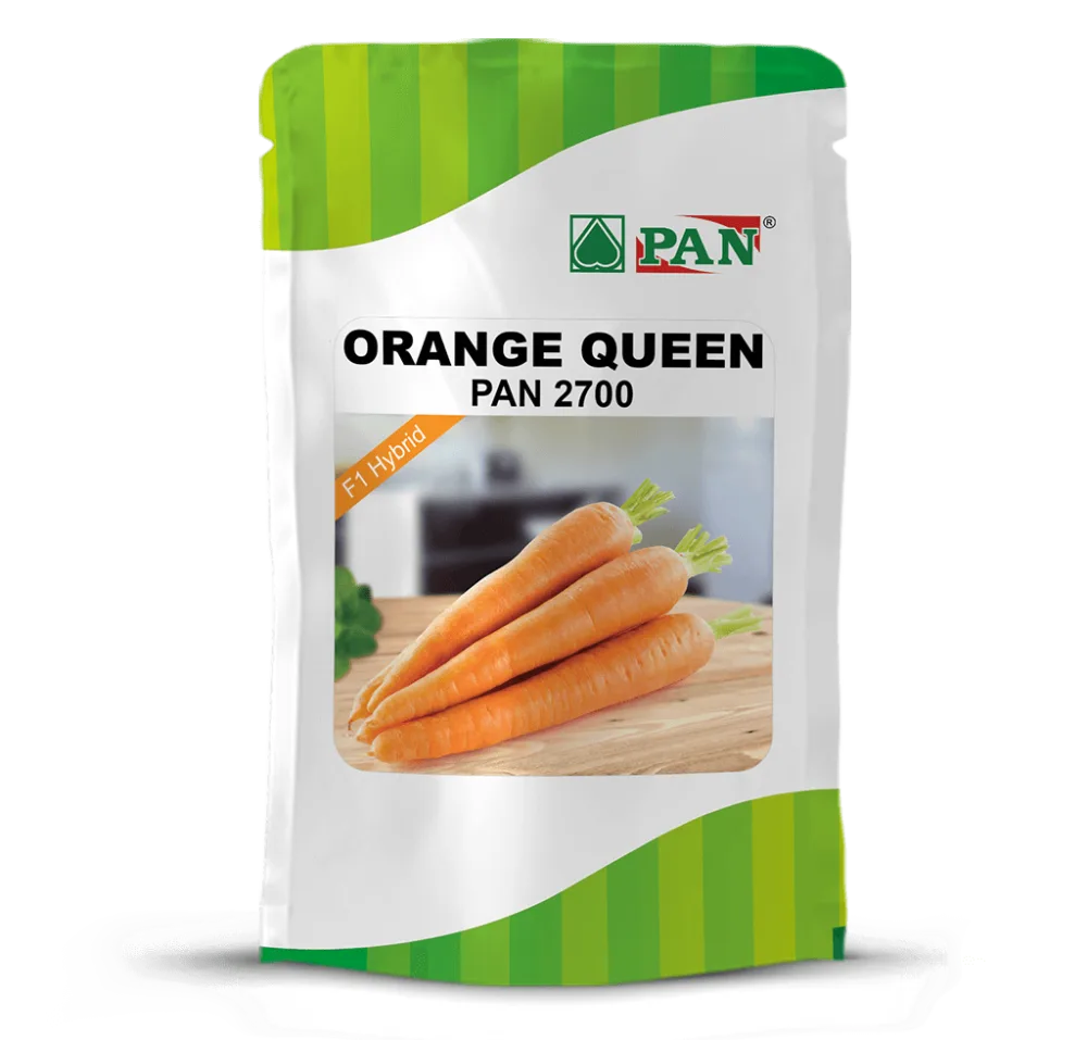 Orange Queen Pan 2700
