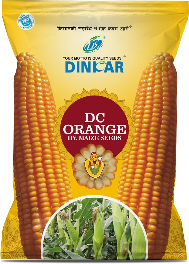 MAIZE DC ORANGE