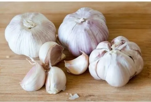 Fresh Organic Garlic