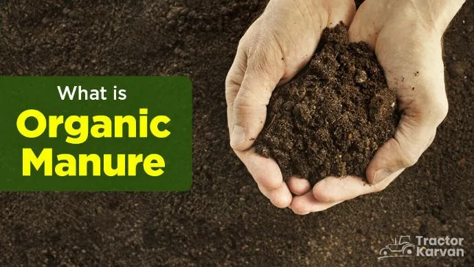 Organic Manures