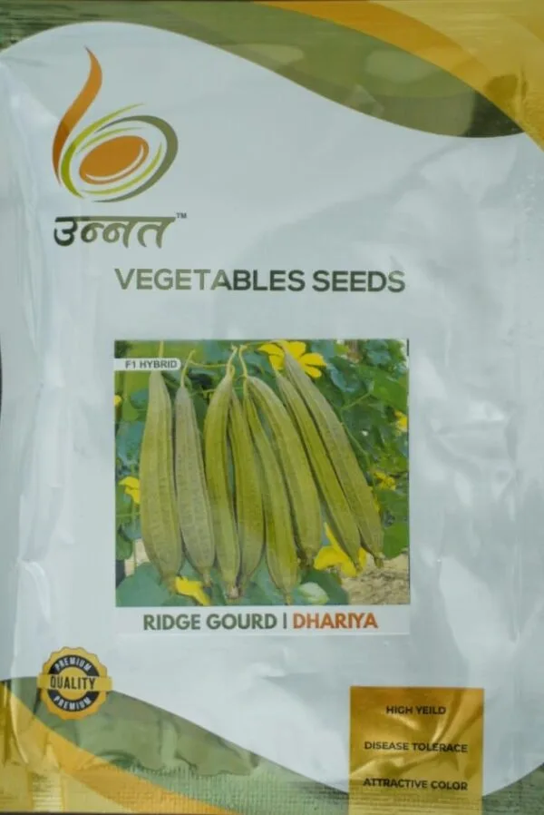 Ridge-Gourd-Dhariya
