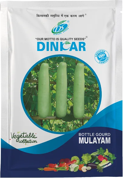 BOTTLE GOURD MULAYAM
