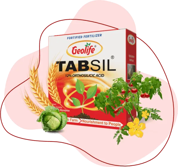 Tabsil