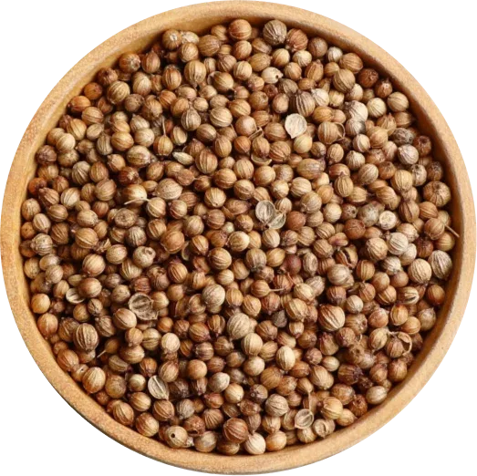 Coriander Seeds Supplier (Khada Dhana)