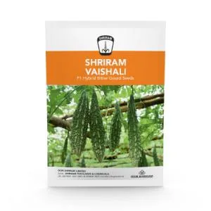 Shriram Vaishali